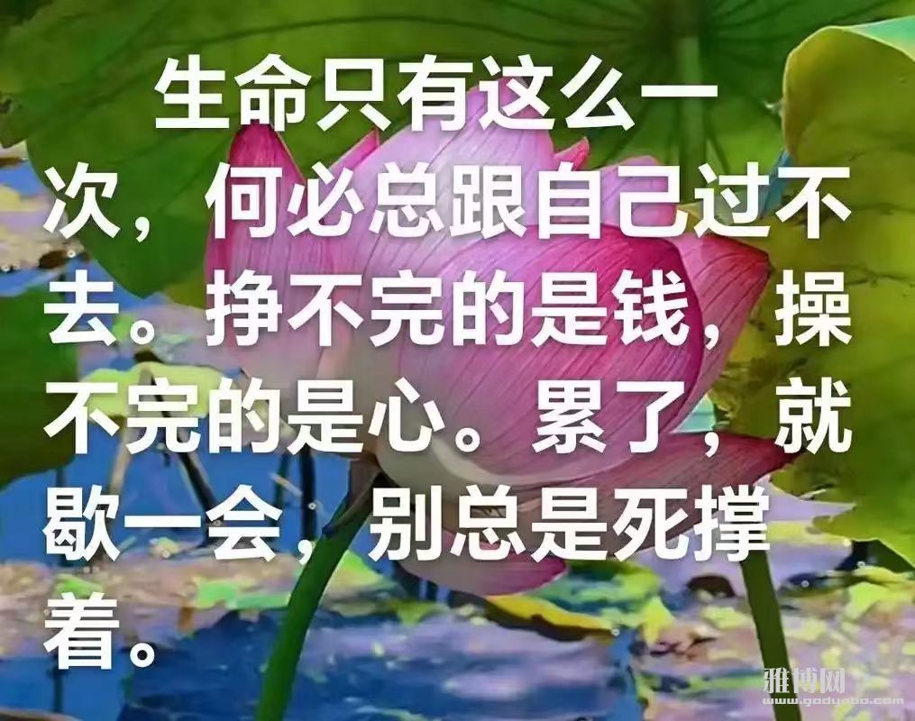 �ǻ����������ԣ���34���� ���������ʲ�