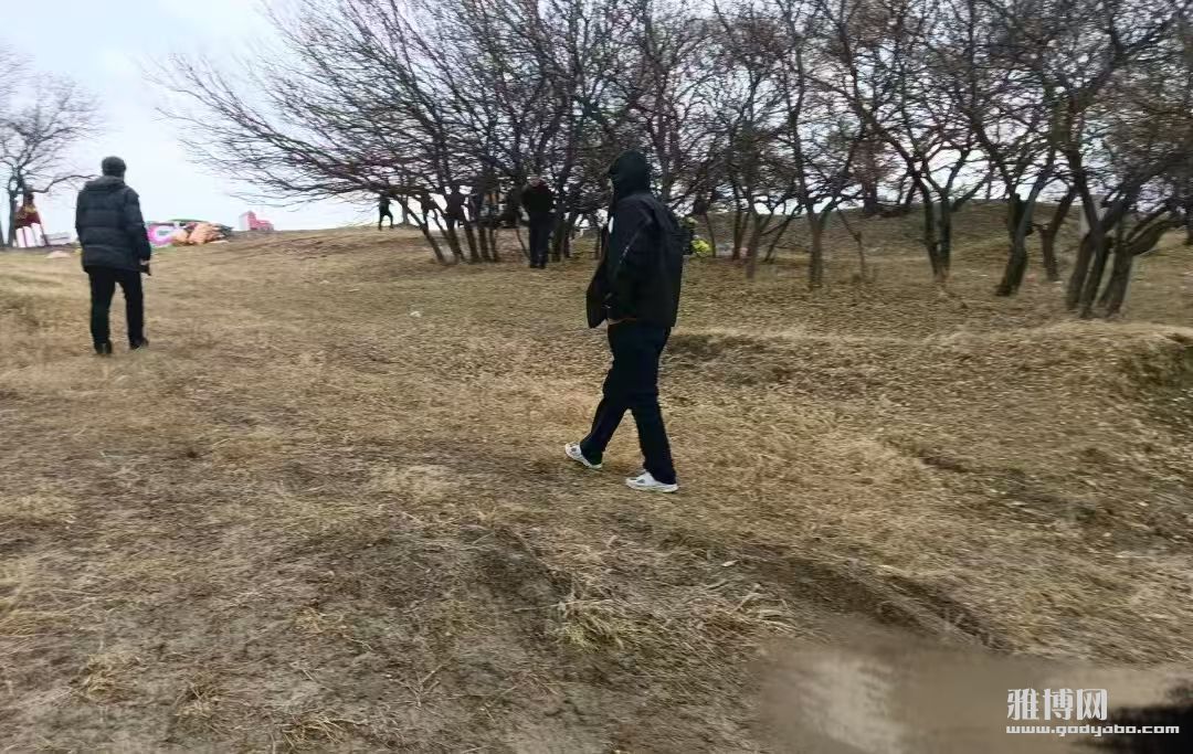 �������룺�����������������Ĺ鴦�����ģ�