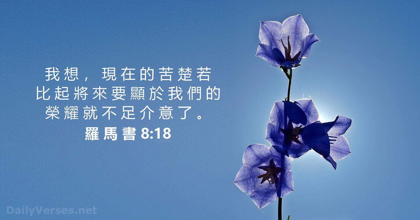 �ȶ�����ҫʮ���ջ�