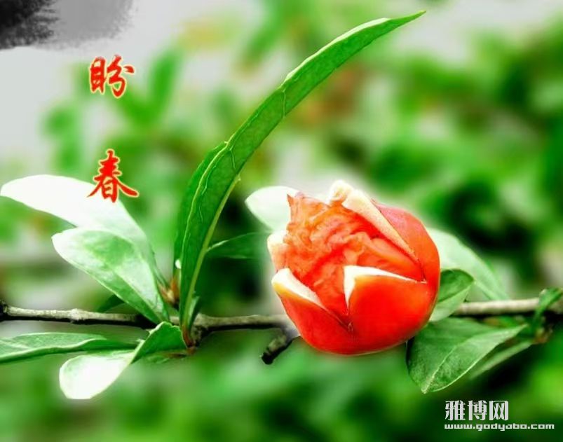 �δ��ɸ����£�