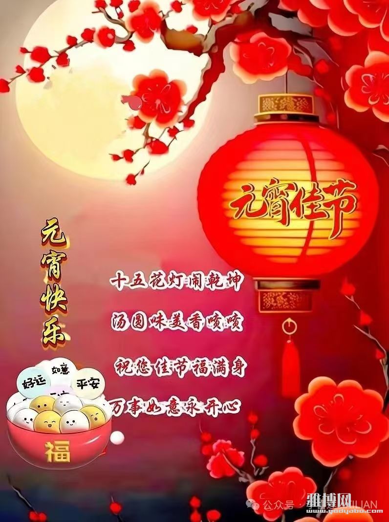 ѡ������