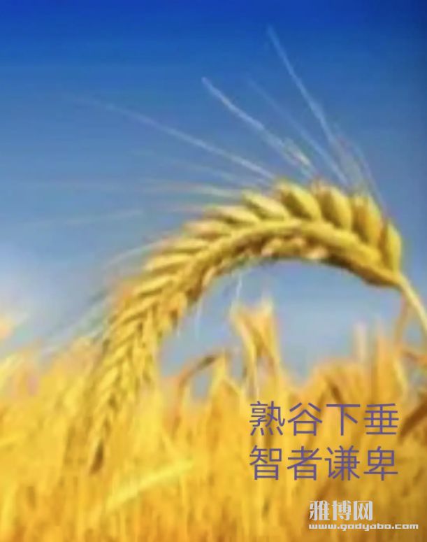 ǫ��������ͽ����������������