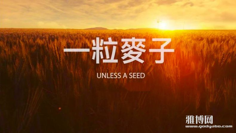 截屏2026-04-04 14.09.59_副本.jpg