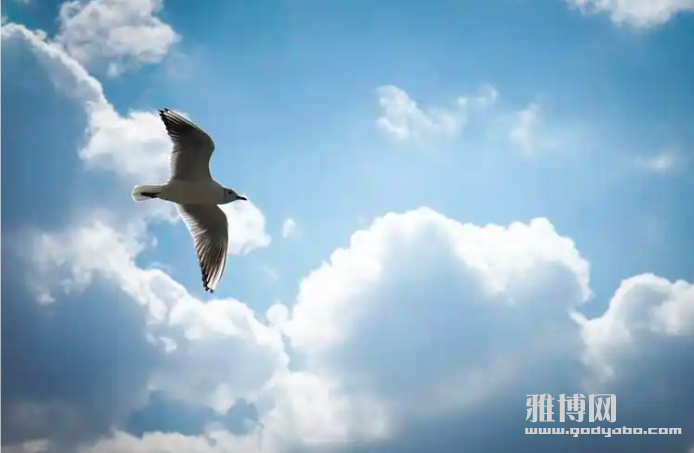 截屏2026-06-05 20.19.59.png