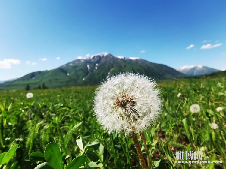 ��������ֶ�İ�������