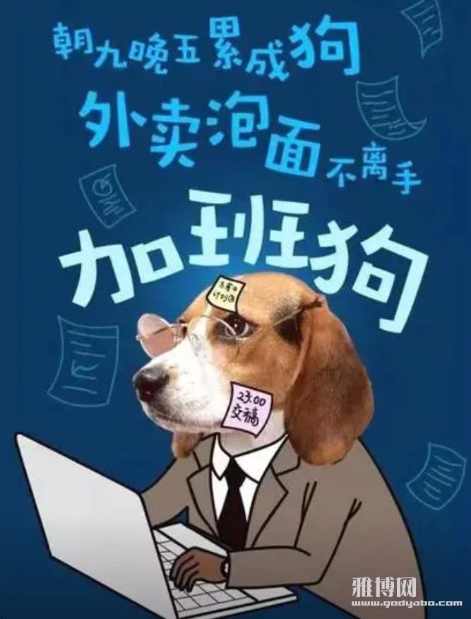 д��æµ����